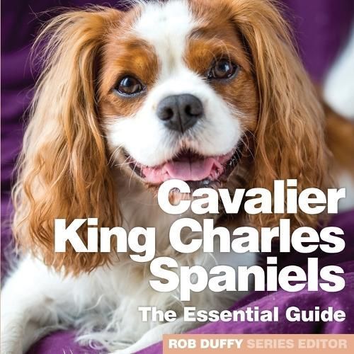 Cavalier King Charles Spaniels By Duffy, Rob 9781913296117 (Paperback)