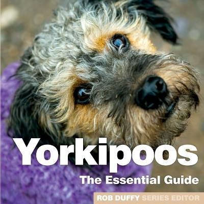 Yorkipoos By Duffy, Robert r 9781913296247 (Paperback)