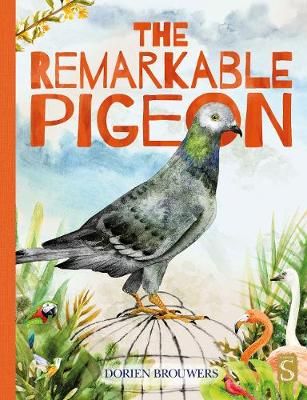 The Remarkable Pigeon By Dorien Brouwers 9781913337995 (Paperback)