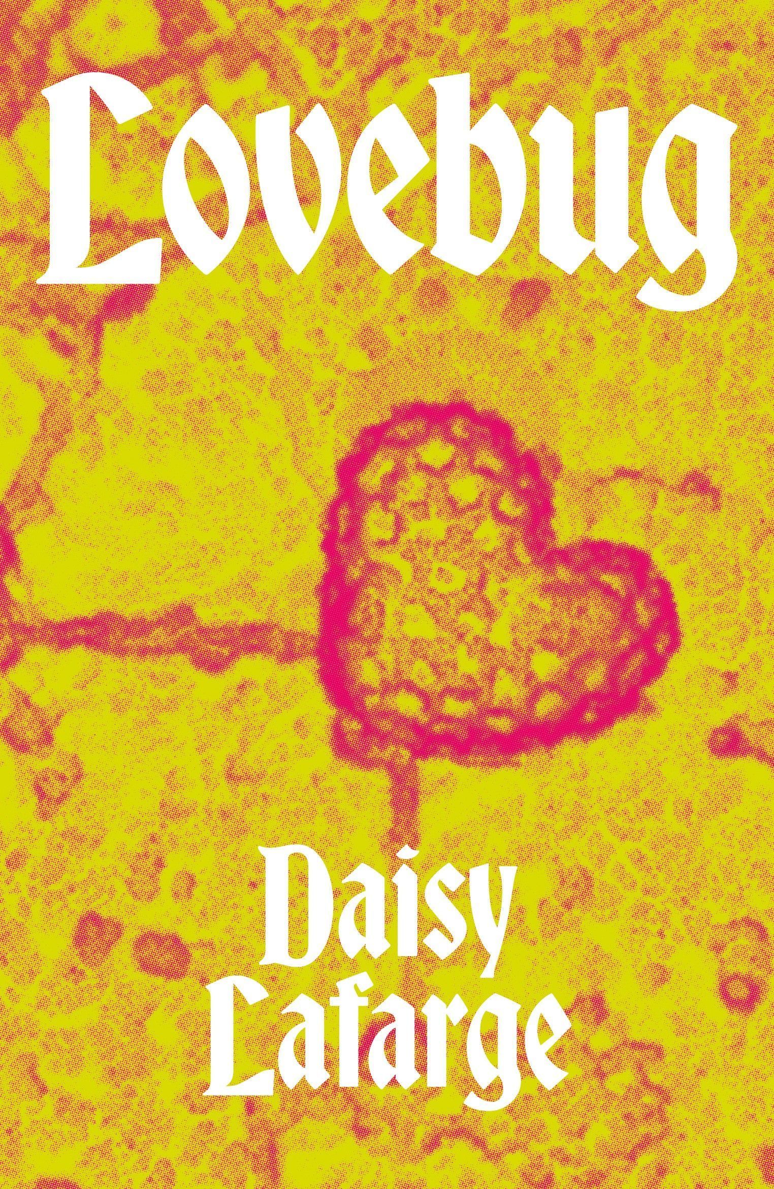 Lovebug By Daisy LaFarge 9781913512378 (Paperback)