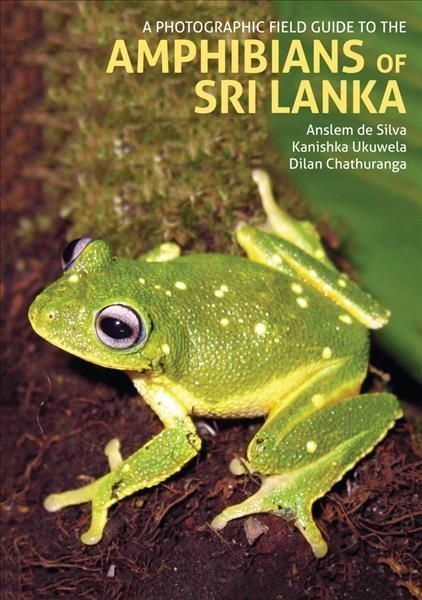 A Photographic Field Guide to the Amphibians of Sri Lanka (Hardback)