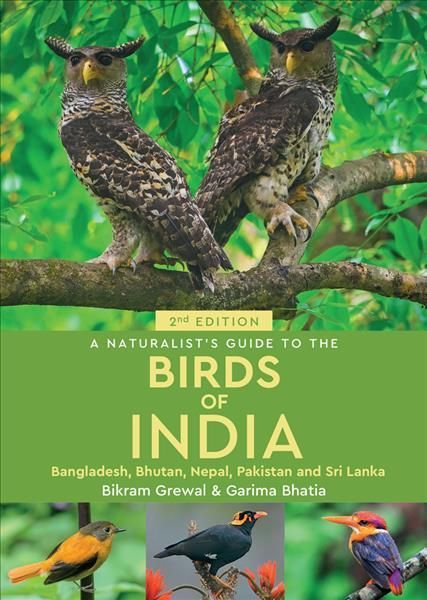 A Naturalist's Guide to the Birds of India 9781913679347 (Paperback)