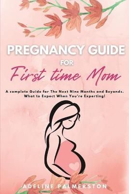 Pregnancy Guide for First Time Moms By Palmerston 9781914128134