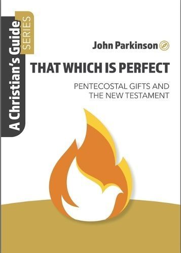 That Which Is Perfect By John Parkinson 9781914273421 (Paperback)