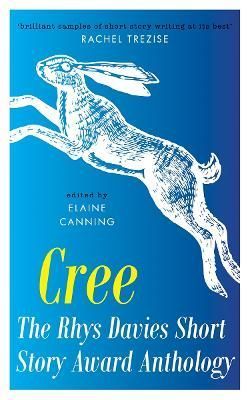 The Rhys Davies Short Story Anthology By Elaine Canning (editor)