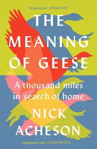 The Meaning of Geese By Nick Acheson 9781915294258 (Paperback)