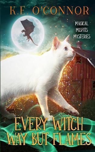 Every Witch Way but Flames By O'Connor 9781915378606 (Paperback)