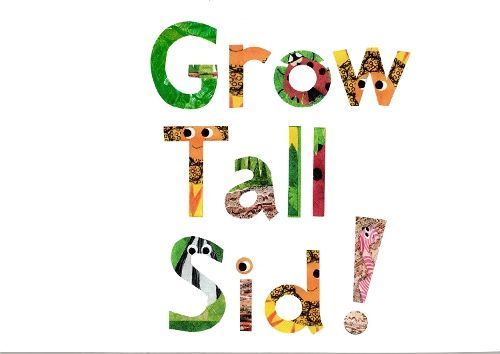 Grow Tall Sid! By Debra Wellington 9781915439802 (Paperback)