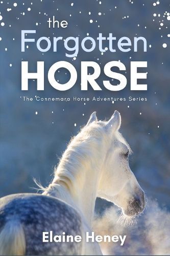 The Forgotten Horse - Book 1 in the Connemara Horse Adventure Series for Kids The Perfect Gift for Children