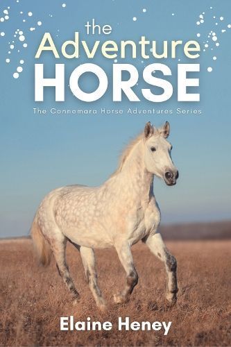 Adventure Horse - Book 5 in the Connemara Horse Adventure Series for Kids | The Perfect Gift for Children