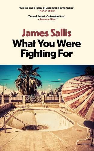 What You Were Fighting For By James Sallis 9781915798503 (Paperback)