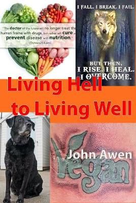 Living Hell to Living Well By John Awen 9781916014091 (Paperback)