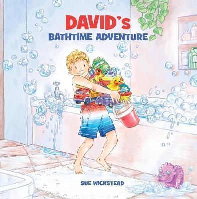 David's Bathtime Adventure By Sue Wickstead 9781916392342 (Paperback)