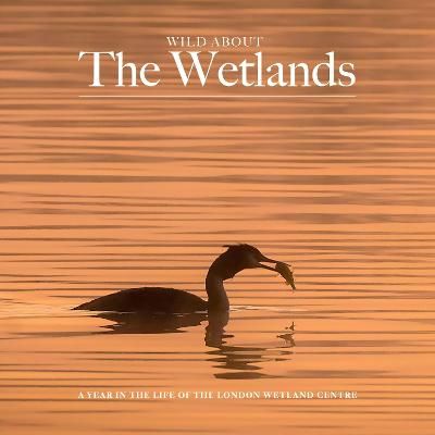 Wild About The Wetlands By Andrew Wilson 9781916485839 (Hardback)