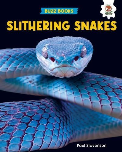 Slithering Snakes By Paul Stevenson 9781916598775 (Paperback)