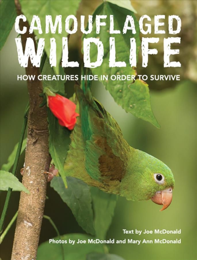 Camouflaged Wildlife 9781921517860 (Hardback)