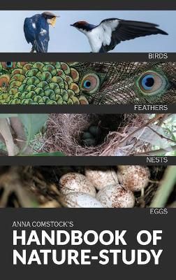 Handbook Of Nature Study in Color - Birds By Comstock 9781922348463