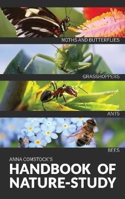 The Handbook Of Nature Study in Color - Insects By Anna B Comstock