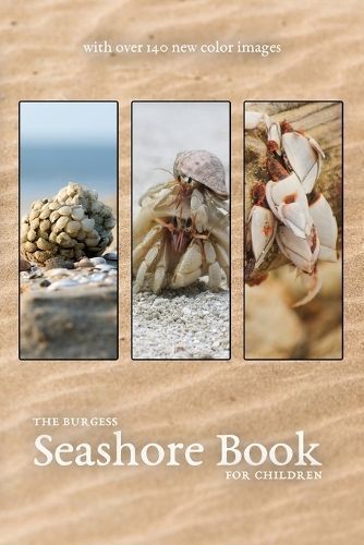 The Burgess Seashore Book with new color images By Burgess, Thornton