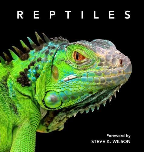 Reptiles By Steve Wilson 9781925546675 (Hardback)