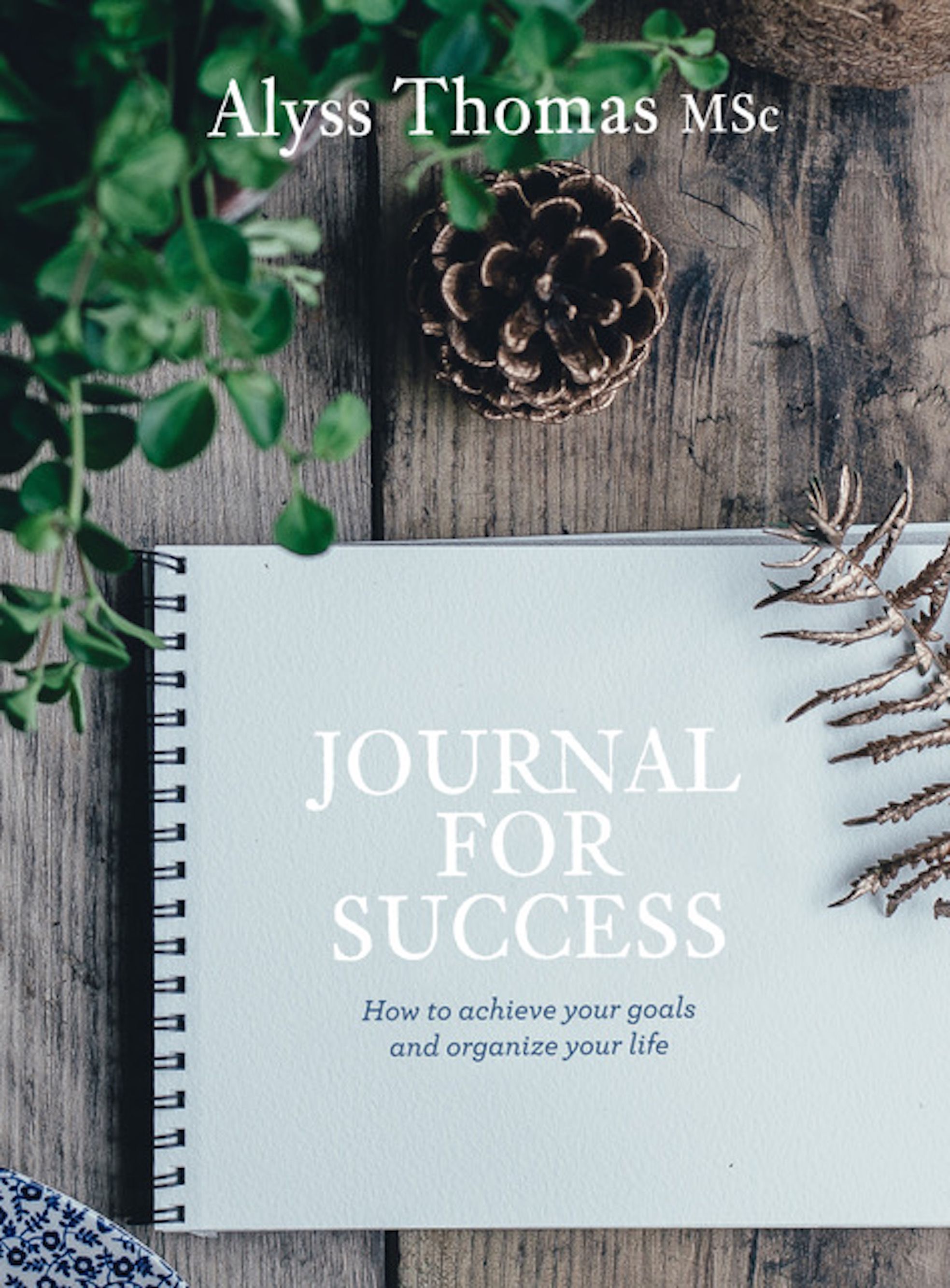 The Journal Writer's Companion By Alyss Thomas 9781925820041