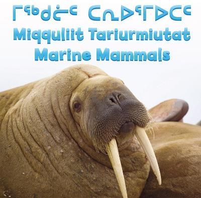 Marine Mammals By Inhabit Media 9781927095867 (Board book)