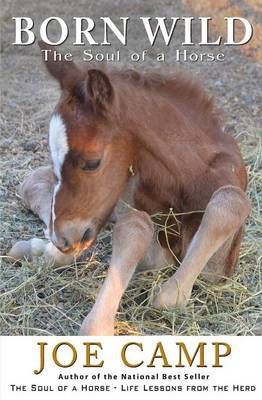 Born Wild - The Soul of a Horse By Joe Camp 9781930681507 (Paperback)