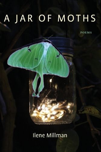 Jar of Moths By Millman 9781933974576 (Paperback)