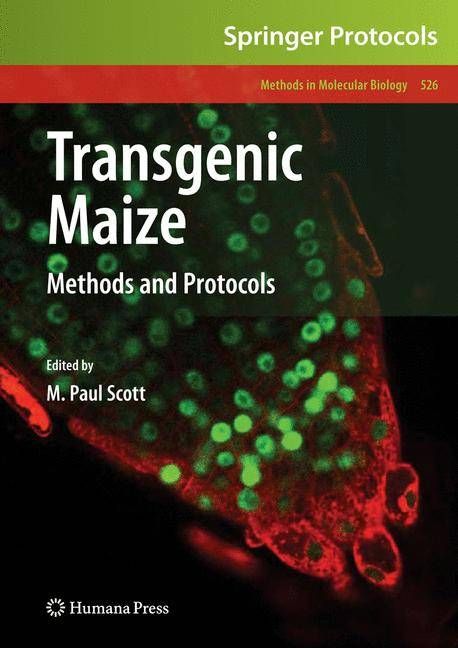 Transgenic Maize By M. Paul Scott 9781934115497 (Hardback)