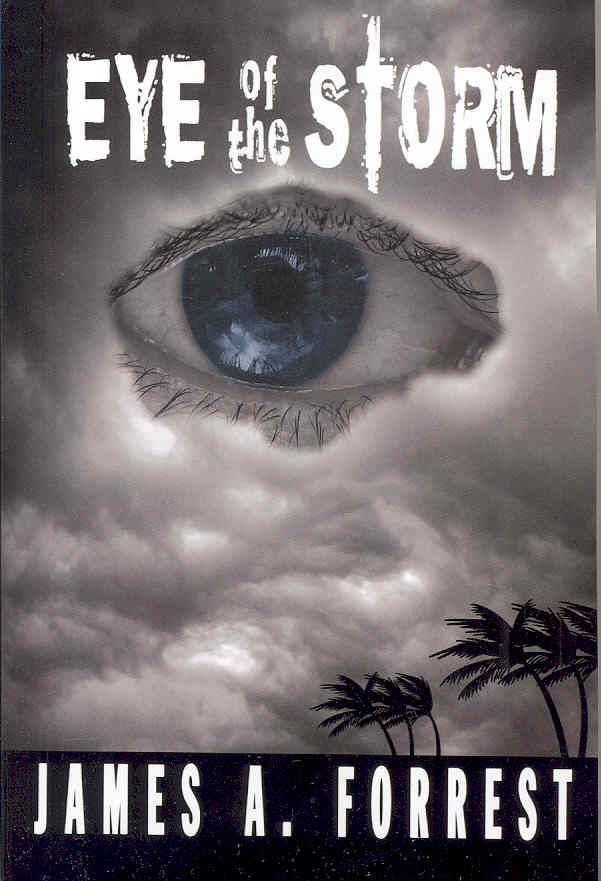 Eye of the Storm By James A Forrest 9781934246504 (Paperback)