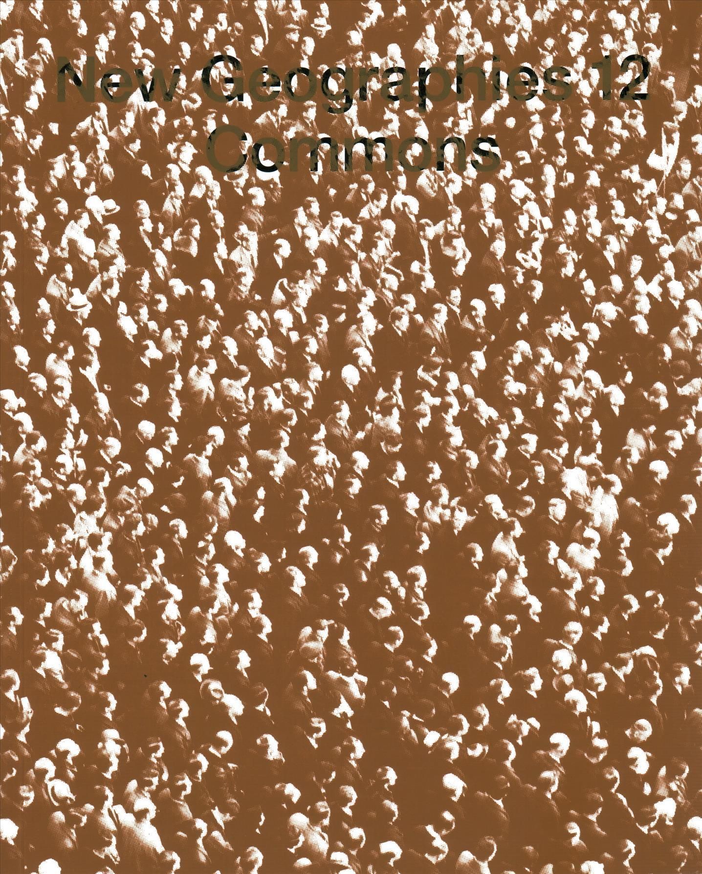 New Geographies, 12 By Mojdeh Mahdavi (editor), Liang Wang (editor)