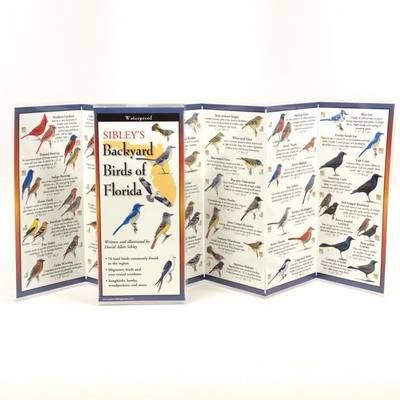 Sibley's Back. Birds of Florida 9781935380115 (Poster)