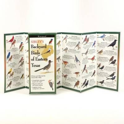 Sibley's Backyard Birds of Eastern Texas 9781935380122 (Poster)