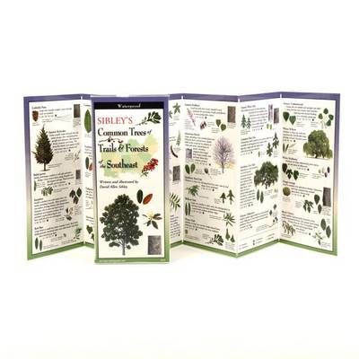 Sibley's Trees of Trails and Forests of the Southeast 9781935380528