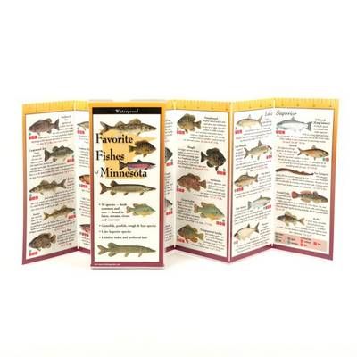 Favorite Fishes of Minnesota By Steven Lewers 9781935380900 (Poster)