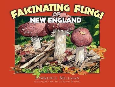 Fascinating Fungi of New England By Lawrence Millman 9781936571017