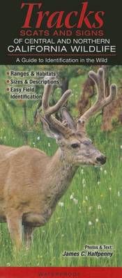 Mammals of Central & Northern California: Tracks, Scats and Signs a Guide to Identification in the Wild