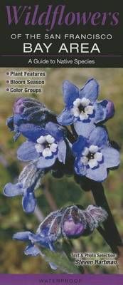 Wildflowers of the San Francisco Bay Area By Steven Hartman (Poster)