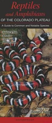 Reptiles and Amphibians of the Colorado Plateau By Randall D Babb