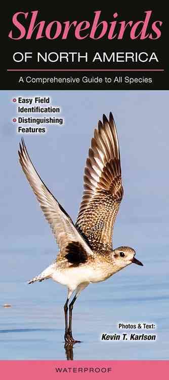 Shorebirds of North America By Kevin T Karlson 9781936913787 (Poster)