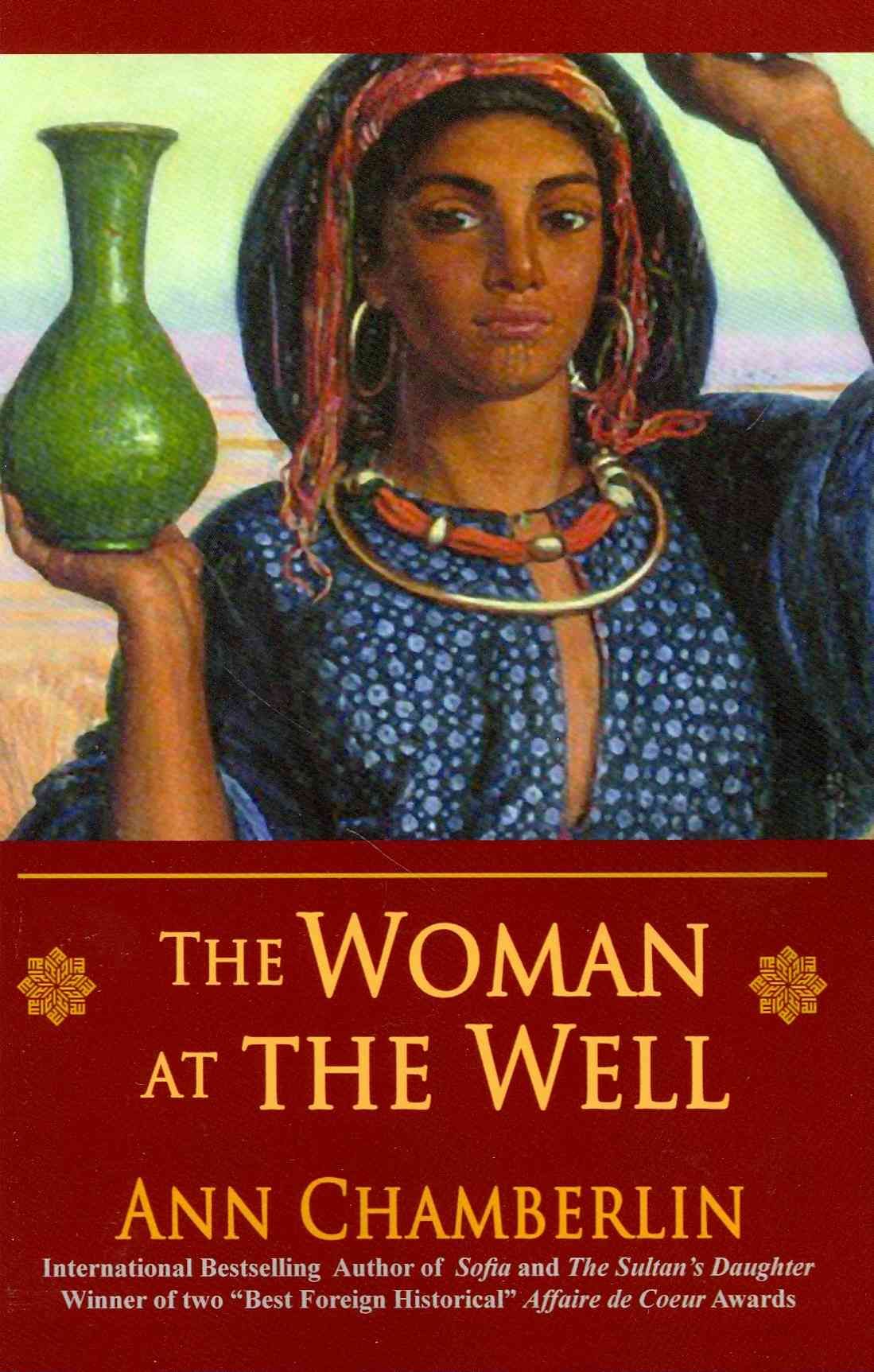 The Woman at the Well By Ann Chamberlin 9781936940103 (Paperback)