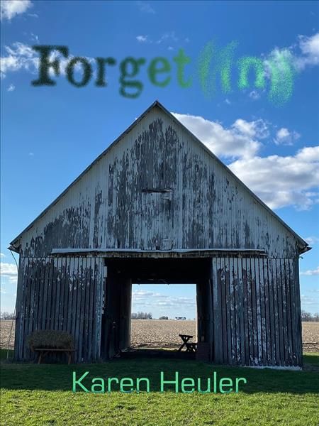 Forgetting By Karen Heuler 9781938463334 (Paperback)