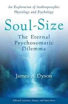 Soul-Size 9781938685361 (Paperback)