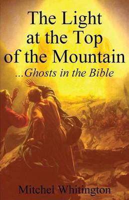 The Light at the Top of the Mountain By Mitchel Whitington (Paperback)