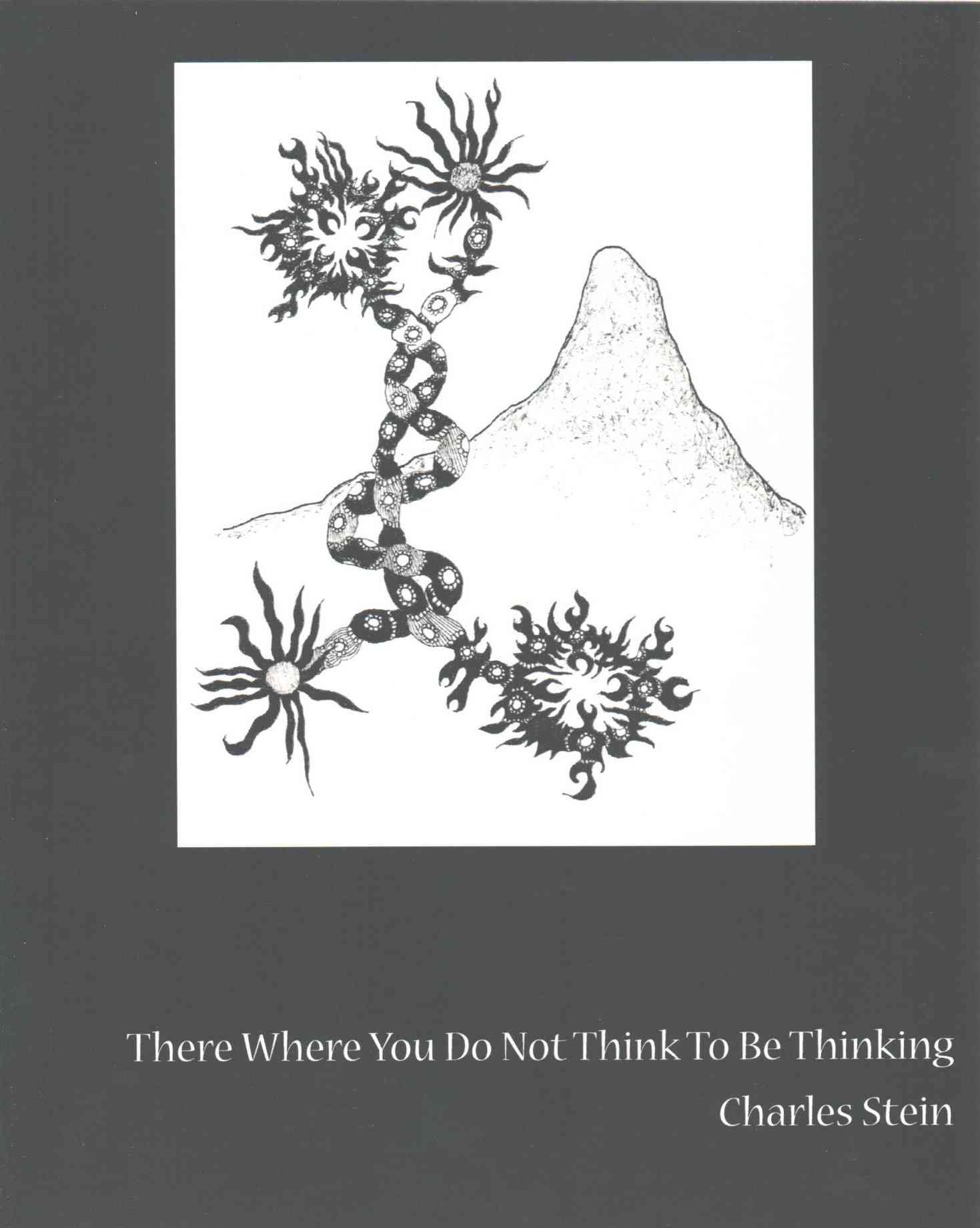 There Where You Do Not Think to Be Thinking By Stein 9781941550120