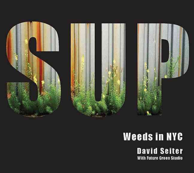 Spontaneous Urban Plants By David Seiter, Future Green Studio