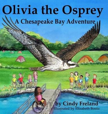 Olivia the Osprey 9781941927991 (Hardback)