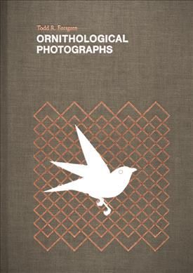 Ornithological Photographs By Todd Forsgren (photographer) (Paperback)