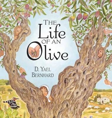 The Life of an Olive By D Yael Bernhard 9781942762287 (Hardback)