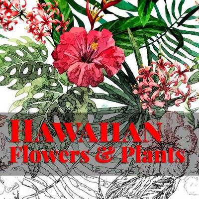 Hawaiian Flowers & Plants By Bow, Frankie 9781943476275 (Paperback)